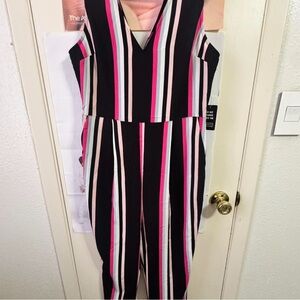Express Multicolor Striped Jumpsuit